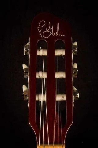 Godin multiac slim (Ανταλλαγή )