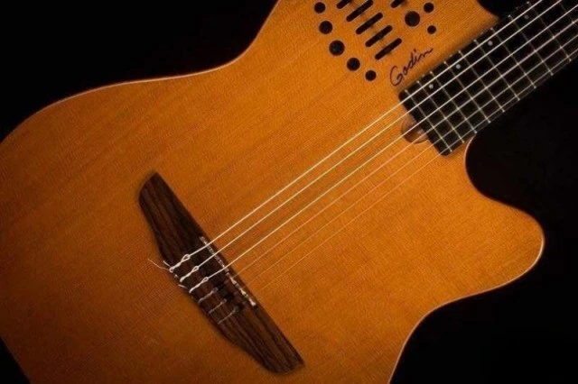 Godin multiac slim (Ανταλλαγή )