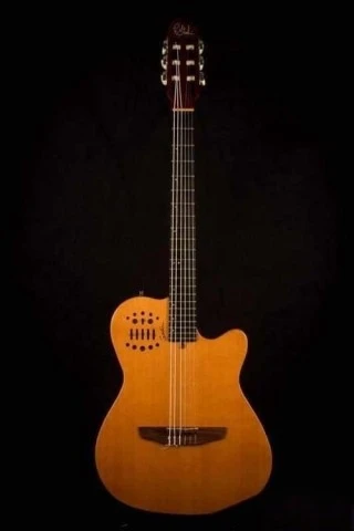 Godin multiac slim (Ανταλλαγή )