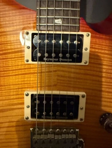 Prs se custom