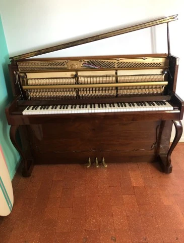 Piano Scheffler