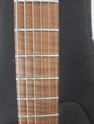 Harley Benton Guitar Max Fusion WN
