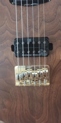 Harley Benton Guitar Max Fusion WN