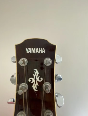 Electric - Acoustic Guitar 