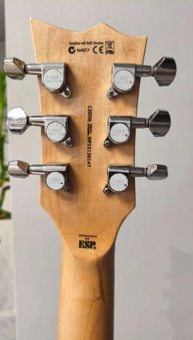 Esp ltd ec10 