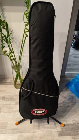 Esp ltd ec10 