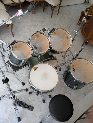 Pearl Export EX 
