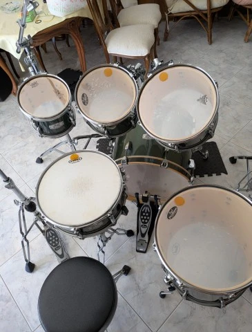 Pearl Export EX 