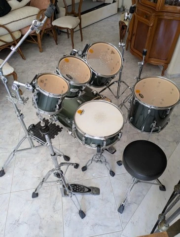 Pearl Export EX 