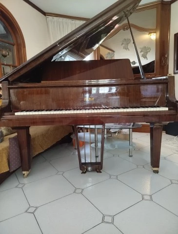 Piano Petrof 
