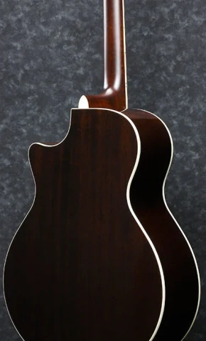IBANEZ AE205BS