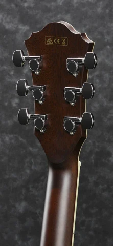 IBANEZ AE205BS