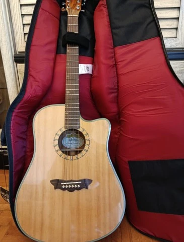 Hλεκτροακουστική κιθάρα Washburn D46SCE dreadnought με cutaway και θήκη