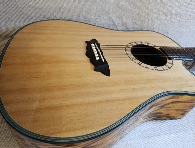 Hλεκτροακουστική κιθάρα Washburn D46SCE dreadnought με cutaway και θήκη