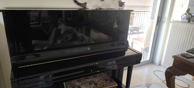 Πιάνο Yamaha U3
