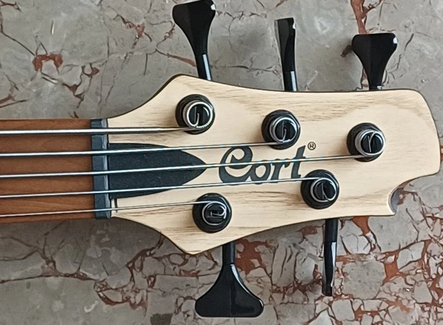 Cort B5 Element