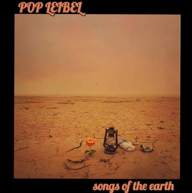 modern rock band POP LEIBEL looking for BASS player