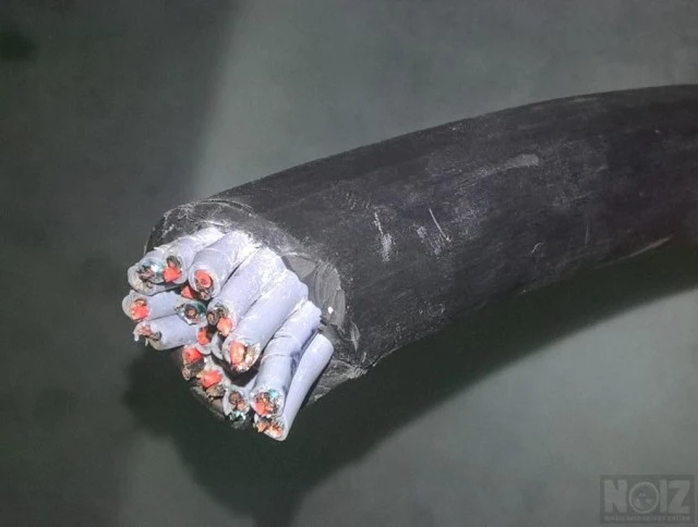 24Ch. Multicore Cable