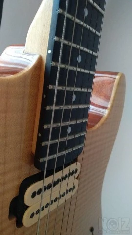 Carvin C66C Custom USA
