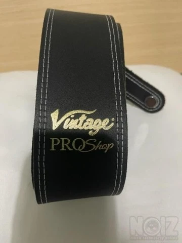 Vintage v100 reissue bigsby