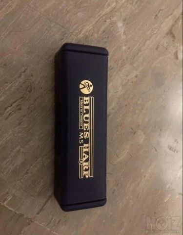 Φυσαρμόνικα Hofner Blues Harp C major