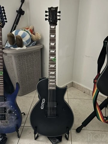 Esp Ltd ec201 fishman