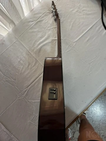 Acoustic Guitar FX-310