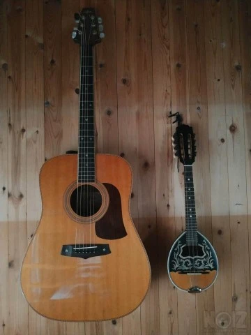 Rare Acoustic Aria SW-40 Japan