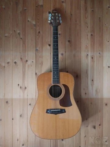 Rare Acoustic Aria SW-40 Japan