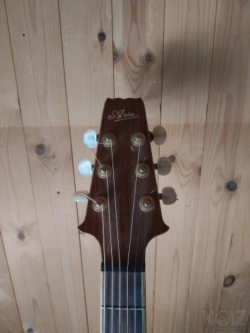 Rare Acoustic Aria SW-40 Japan