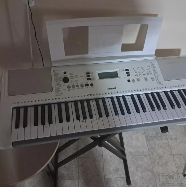 Yamaha EZ300