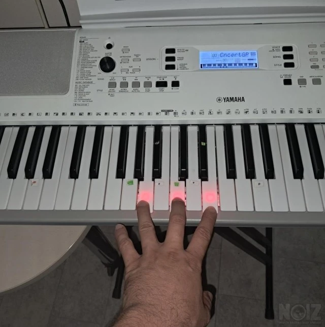 Yamaha EZ300
