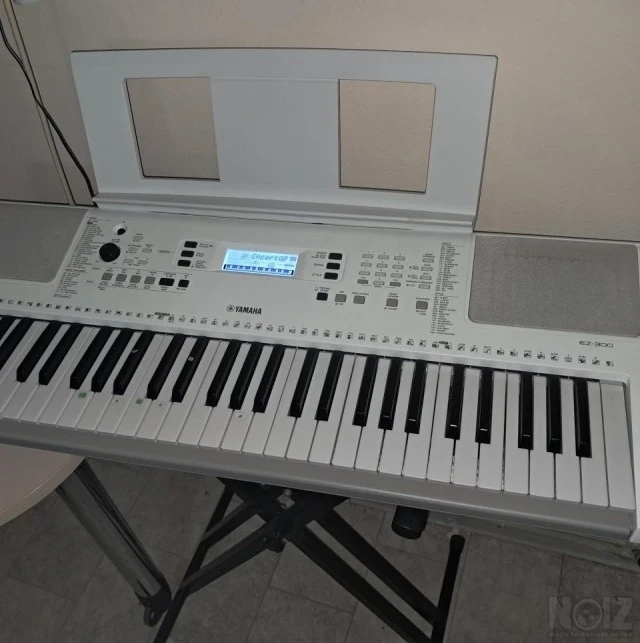 Yamaha EZ300