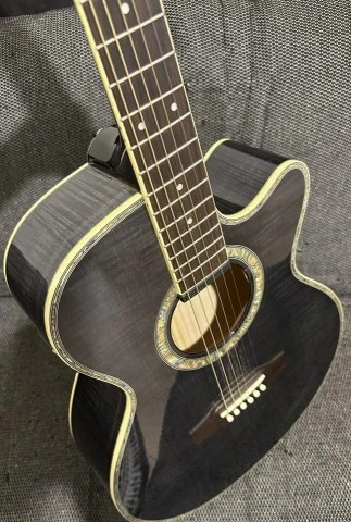 Epiphone Performer ME Trans Black