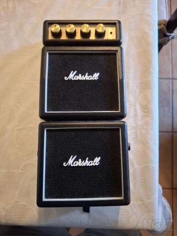 ESP ltd Ec10 + ενισχυτής
