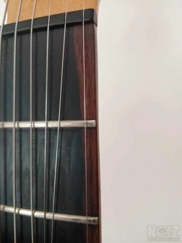 Washburn Nuno model ηλεκτρική κιθάρα