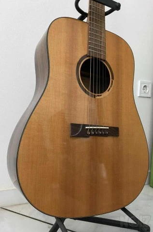 Vision in Guitars (VGS) Rose