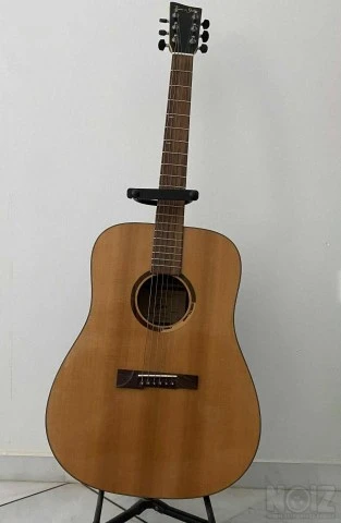 Vision in Guitars (VGS) Rose
