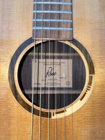 Vision in Guitars (VGS) Rose