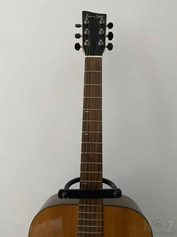 Vision in Guitars (VGS) Rose