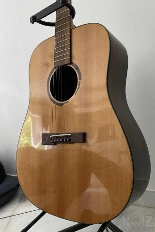 Vision in Guitars (VGS) Rose