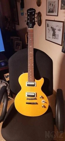 Epiphone L.P. Special II Slash AFD