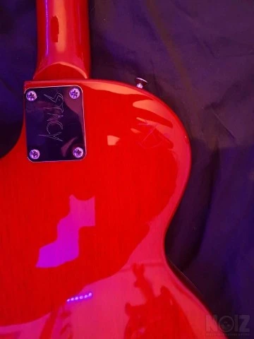 Epiphone L.P. Special II Slash AFD