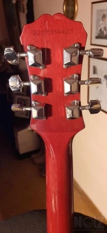 Epiphone L.P. Special II Slash AFD