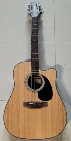 Acoustic Guitar Takamine G Series