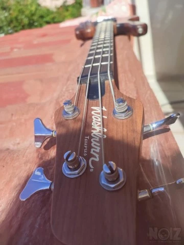 Washburn Taurus bass
