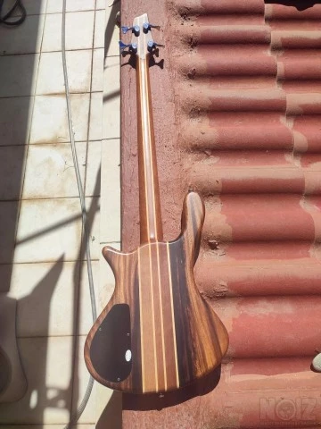 Washburn Taurus bass