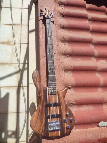 Washburn Taurus bass