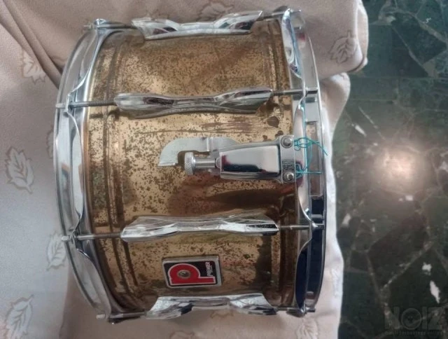 Gabriel  Premier  Mapex