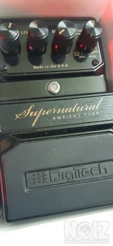 DigiTech Supernatural Stereo Ambient Rev